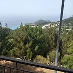 Panoramic View *